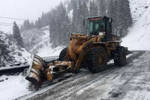 差異化競爭！除雪劑廠家營銷不走尋常路